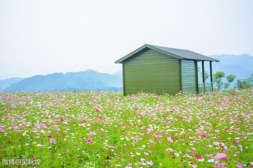 千岛湖马术公园第 16 张图片