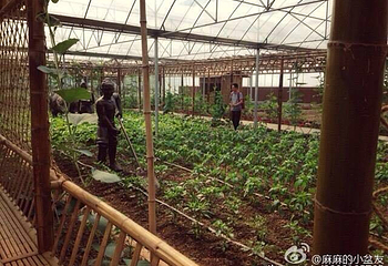 八卦洲沙漠风情园第 19 张图片