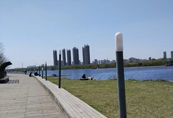 长白岛森林公园第 18 张图片