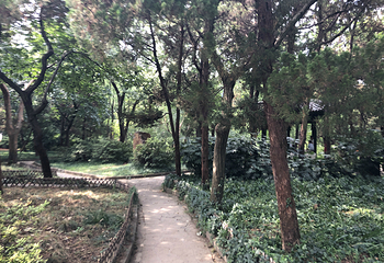 锡惠名胜区第 93 张图片