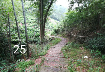 龙眠山第 6 张图片