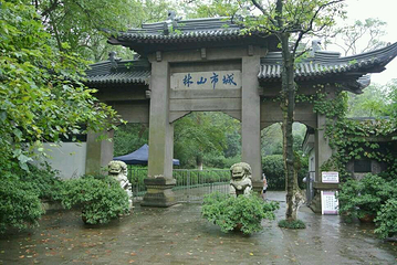 南山第 41 张图片