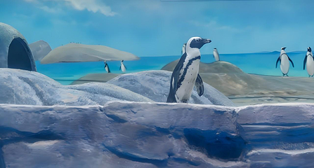 北京海洋馆第 11 张图片