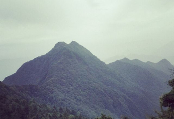 秦岭天竺山生态文化旅游景区第 75 张图片