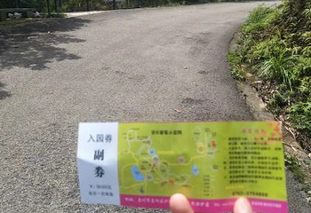 世外梅园第 4 张图片