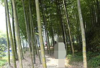 上旺岩里乡村第 3 张图片