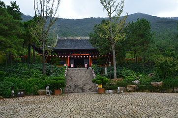 大阳山景区第 21 张图片