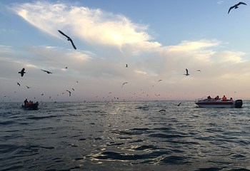 旅顺海军兵器馆第 12 张图片