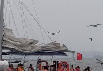 星海广场第 50 张图片