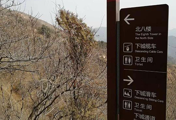朝阳剧场杂技第 35 张图片