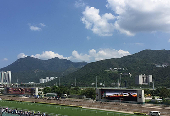 沙田马场第 39 张图片