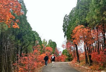 红叶谷第 46 张图片