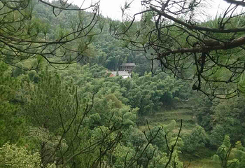 白崖寨第 12 张图片