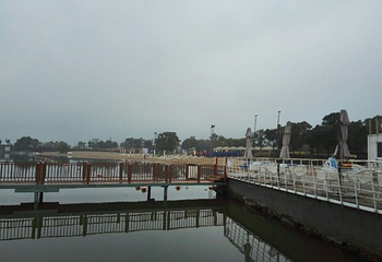 东钱湖随风沙滩第 27 张图片