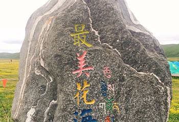 俄么塘花海景区第 47 张图片