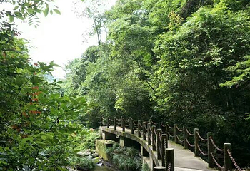 小溪自然保护区第 8 张图片