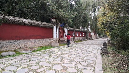南郭寺第 21 张图片