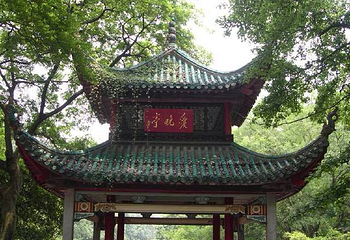 项城市南顿故城景区第 9 张图片