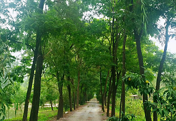 野草河湿地风景区第 24 张图片