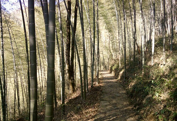 宝山第 3 张图片