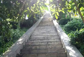 茶溪谷第 72 张图片