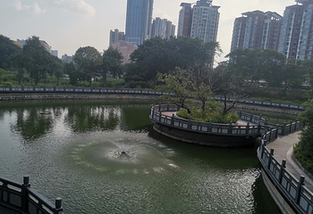 龙岗龙园第 6 张图片