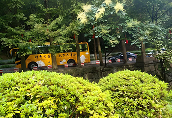 九华山风景区第 38 张图片