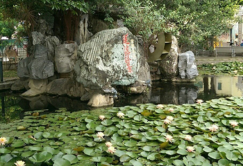 莲池潭第 13 张图片
