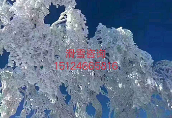 亚布力阳光度假村第 5 张图片