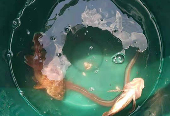 威海国际海水浴场第 55 张图片