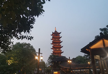 乌镇一日游第 23 张图片