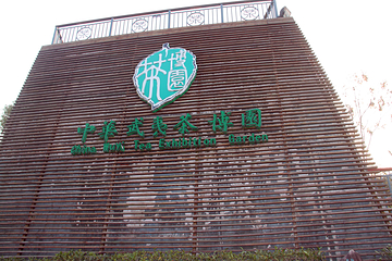 中华武夷茶博园第 27 张图片