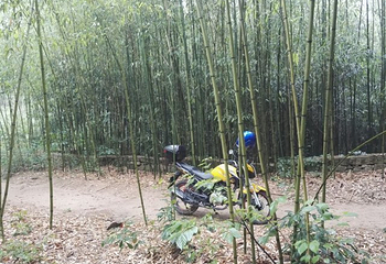 丛麻禅院第 13 张图片