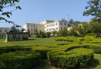 旅顺植物园第 2 张图片