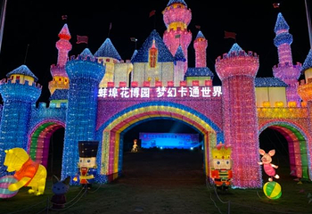 蚌埠花博园第 30 张图片