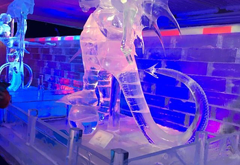 大角湾冰雪王国第 16 张图片