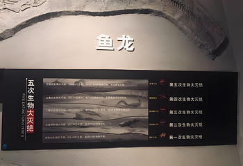 腾龙洞风景区第 83 张图片