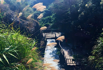 白水寨风景名胜区第 105 张图片