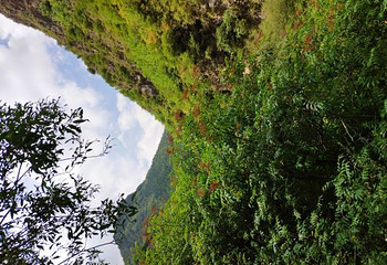 遮阳山旅游风景区第 12 张图片