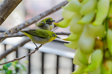 观音山旅游风景区第 170 张图片
