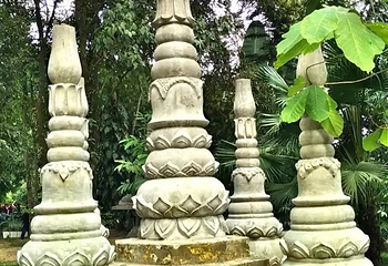 芒令独树成林第 22 张图片