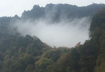 南宫山国家森林公园第 30 张图片