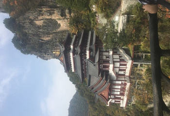 南宫山国家森林公园第 28 张图片