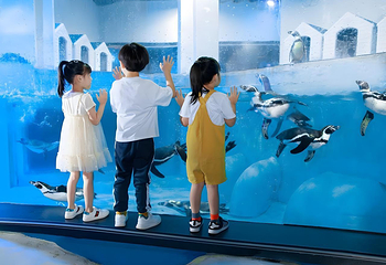 正佳极地海洋世界第 25 张图片