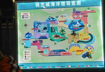 海豚乐园第 35 张图片