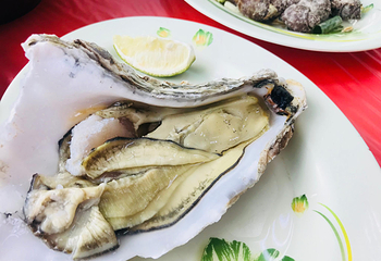 后壁湖渔港第 16 张图片