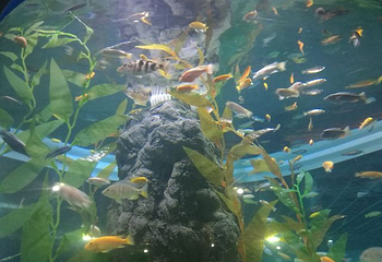 长春中泰海洋世界第 39 张图片