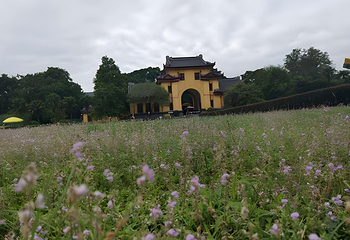 独秀峰王城景区第 82 张图片