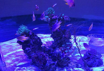 包头海洋世界第 31 张图片