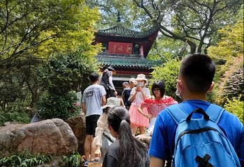 爱晚亭第 22 张图片